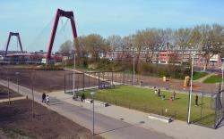 Park Noordereiland heringericht