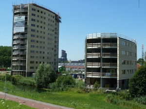 De Reigers foto-update 24 juli 2012