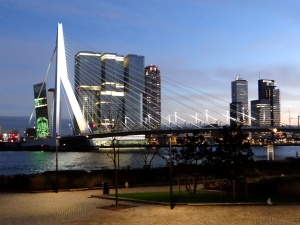 De Rotterdam avond
